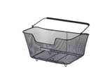 Basil Base M