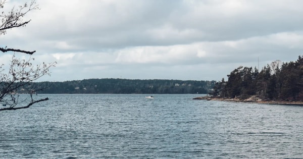 Multirulle för gädda
