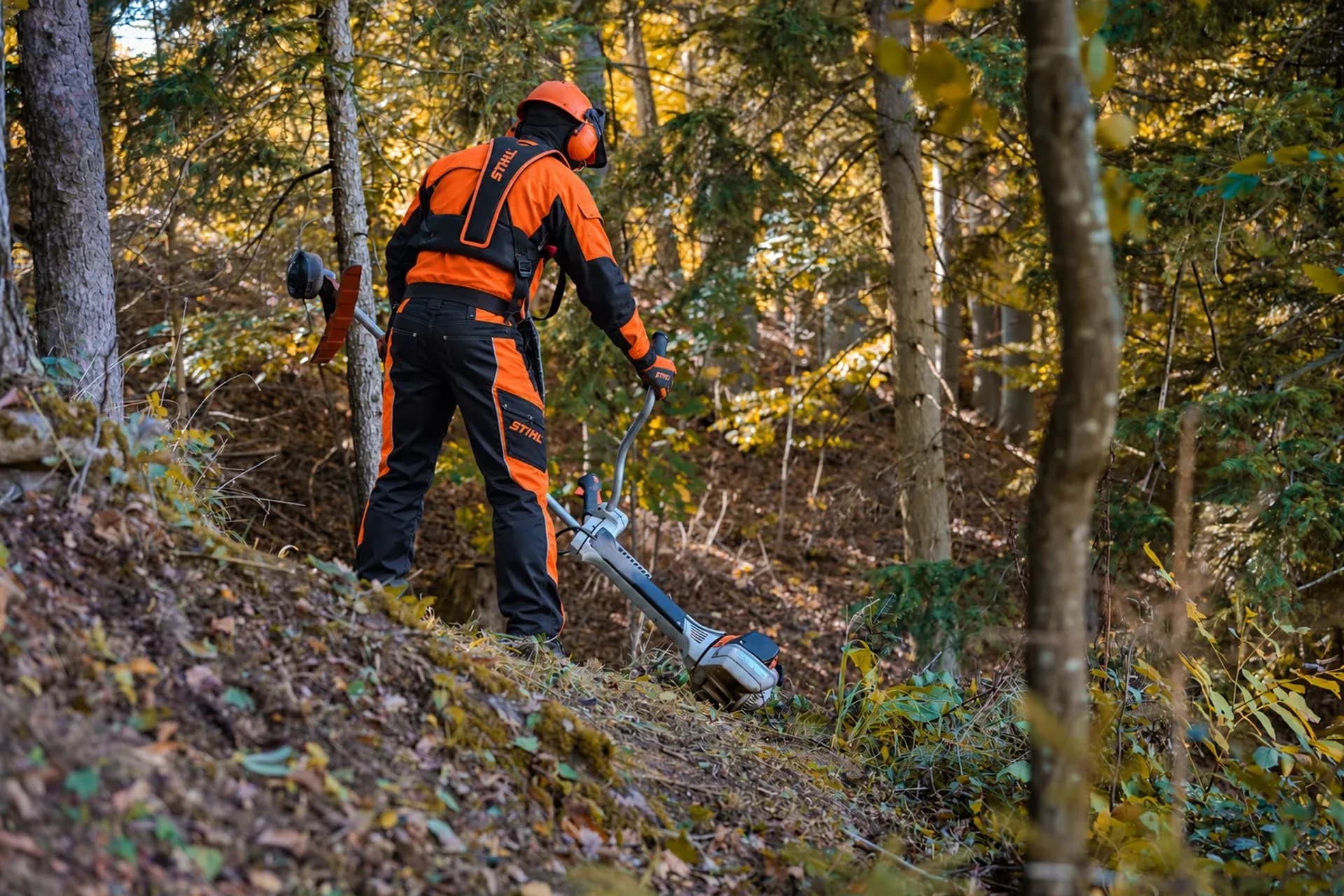 Arbetare som röjer sly med röjsåg i en sluttning i skogen